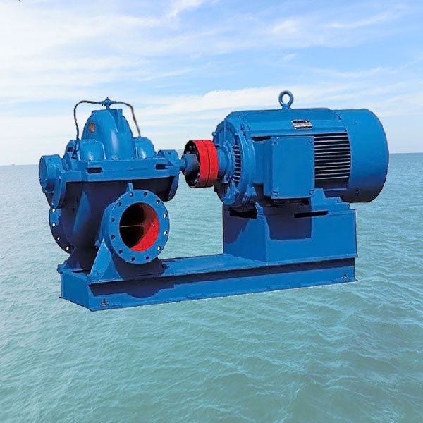 HSM Double-Suction Axially Split Casing Pumps.jpg